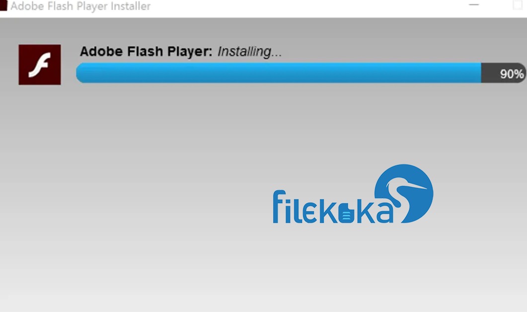 Adobe Flash Player